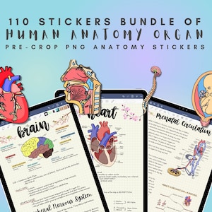 110 Anatomy Organ Stickers, GoodNotes Stickers, Notability Stickers, Anatomy Stickers, Pre-Crop Stickers, For Study, Planning & Note-taking