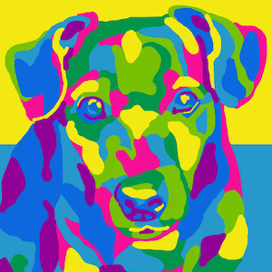 Portrait of your pet in pop art style