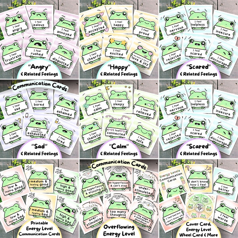Autism Frog Lover Bundle: Communication Cards, Feelings Flashcards ...