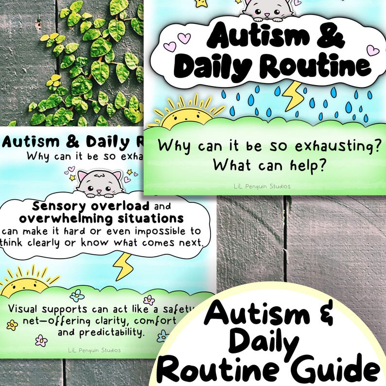 Autism Routine Bundle: Cards, Charts & Guide, Cat Back to School Daily ...
