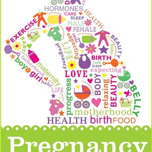 Pregnancy: The Beginner’s Guide! PDF Download!
