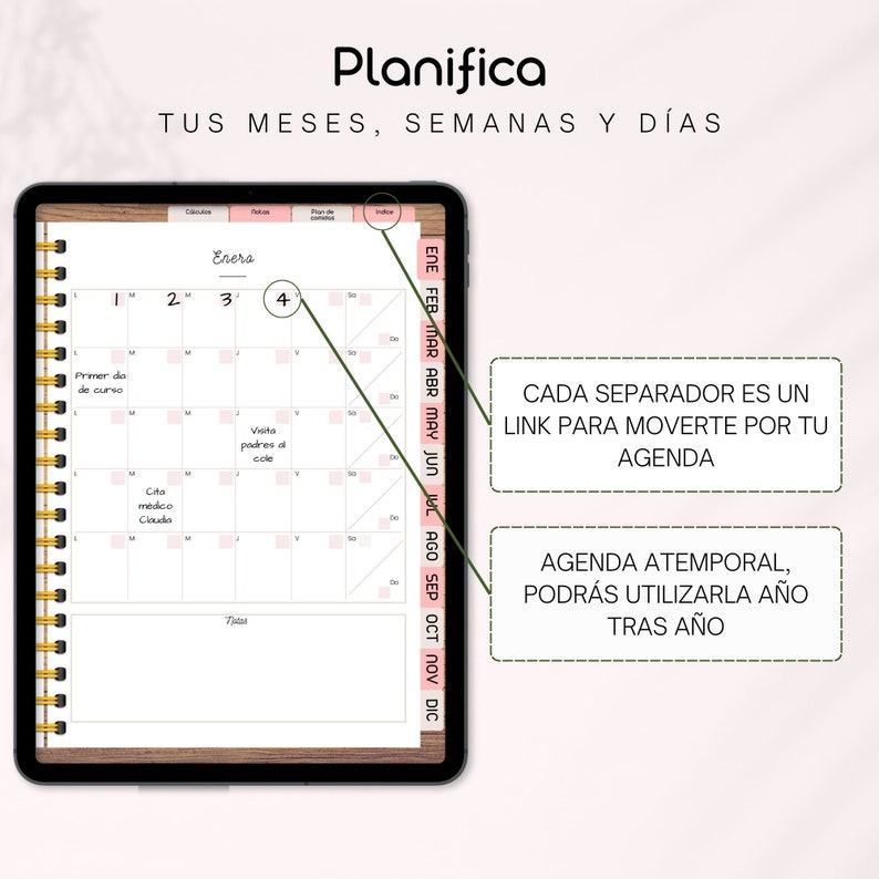 AGENDA DIGITAL atemporal en ESPAÑOL para Goodnotes, Noteshelf ...