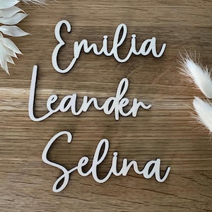 Könnte beinhalten: Drei Holzschildchen mit den Namen "Emilia", "Leander" und "Selina" in kursivschrift.
