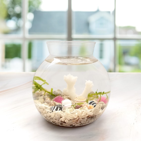 Small Betta Fish Tank, Aquarium Stater Kit, Fish Bowl Tank Set