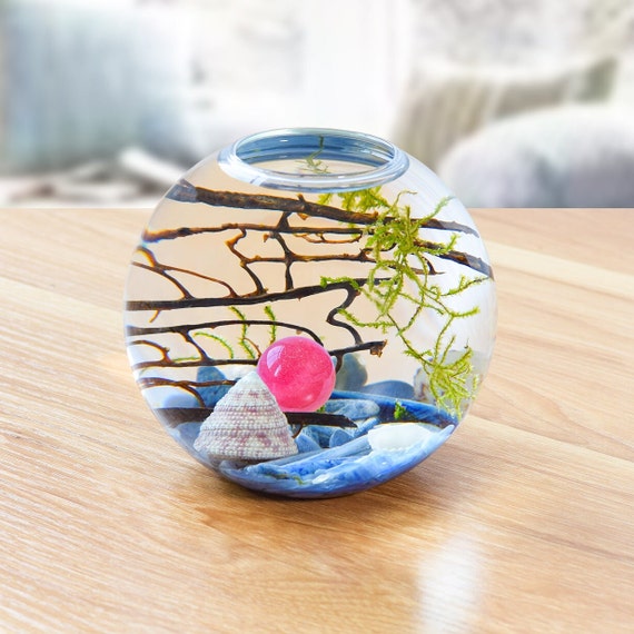 Buy Moss Terrarium Kit 4 Glass Fish Bowl Comes With Java Moss