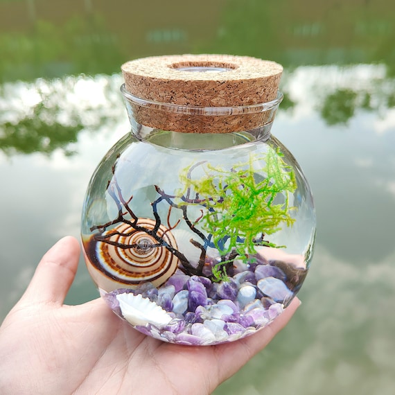 Fish aquarium store starter kit