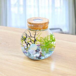 Girls Mermaid Toys DIY Light up Terrarium Kit for Kids Mermaid Gifts for Girls  5-7, Little Girl Gifts, Crafts for Girls 