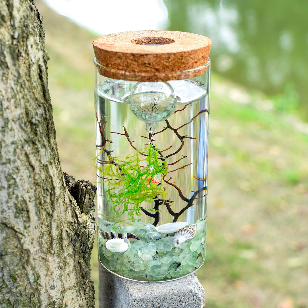 Aquarium Kits, Desktop Aquarium, Ecosphere Closed Aquatic Ecosystem