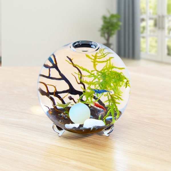 Moss Aquarium Kit DIY- Footed Glass Vase with Java Moss, Obsidian Gravels, Sea Fan Coral, DIY Craft for Table Centerpieces, Ecological Gift