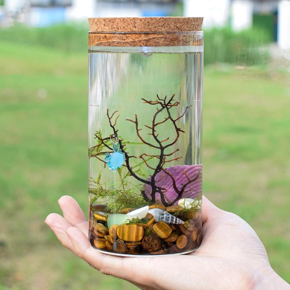 Mini ecosystem fish tank 2025