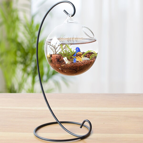 Globe Terrarium Etsy