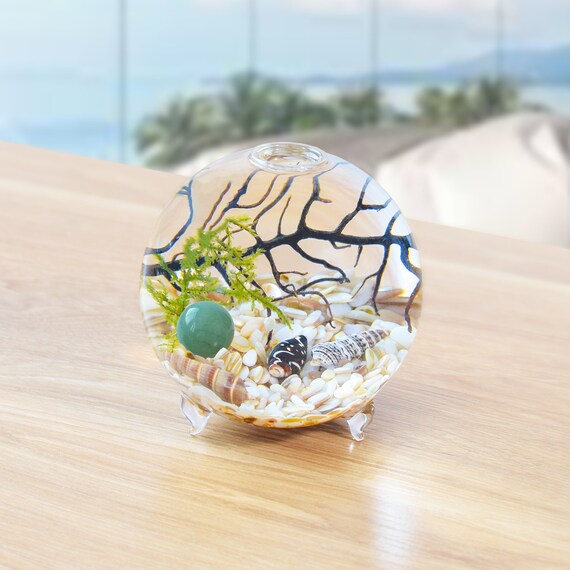 Ecosphere Aquarium Starter Kit-3.15/3.5/4 Orb Terrarium Glass Vase