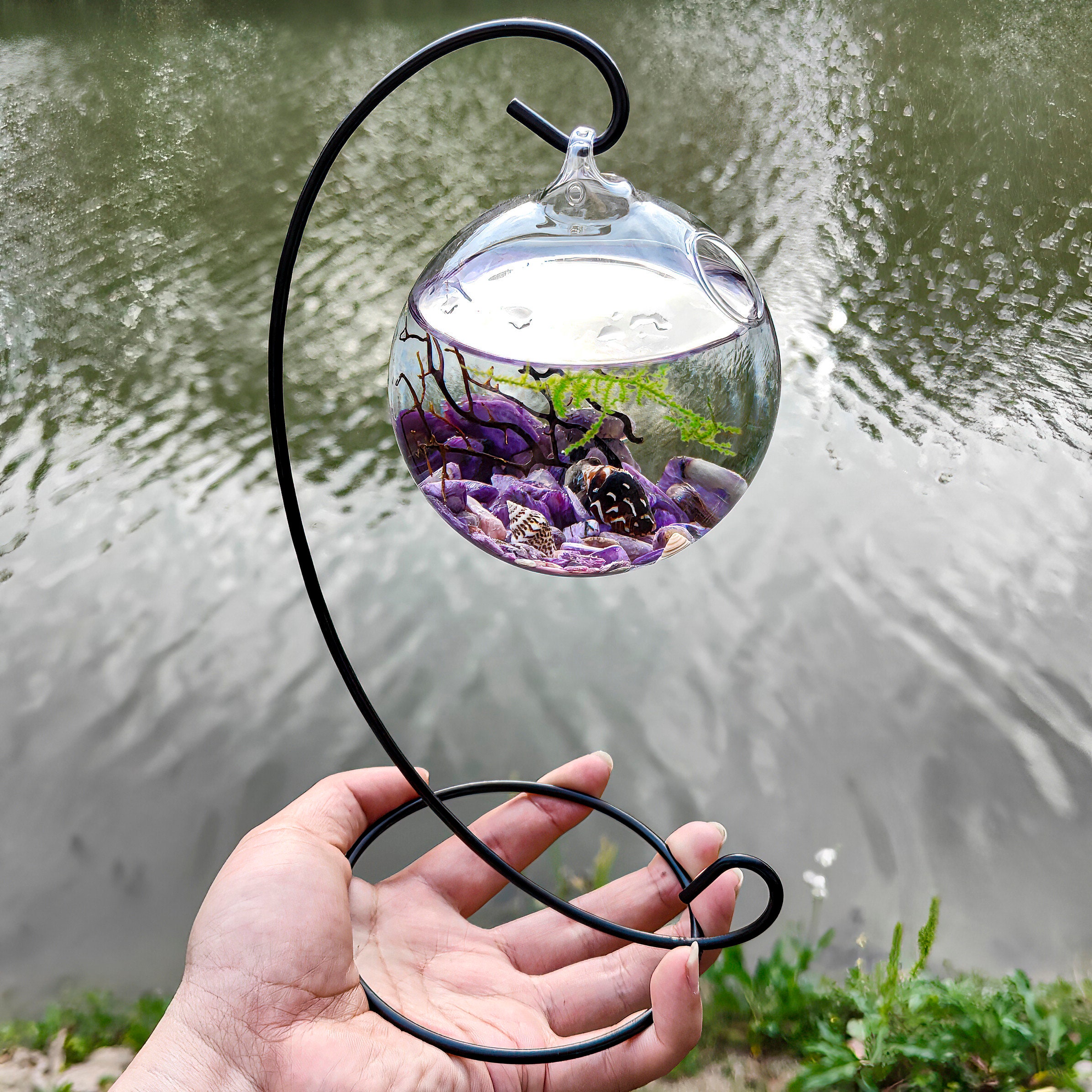 SALE Live Marimo Balls in Mini Globe Bottle Zen Pet Terrarium