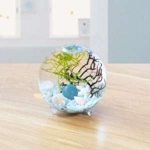 Ecosphere,Eco-sphere