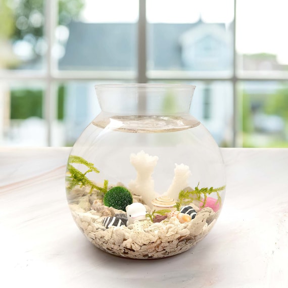 Buy Small Betta Fish Tank, Aquarium Stater Kit, Fish Bowl Tank Set With  Decor Accessories, DIY Handmade Crafts, Xmas Gifts for Him / Her Online in  India 