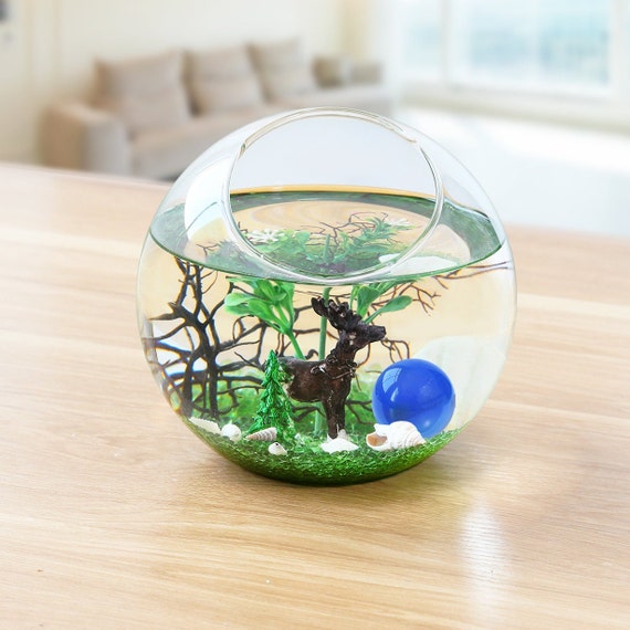 Large Glass Bubble Fish Bowl Terrarium Vase