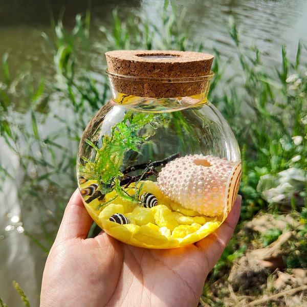 Fake Plant Terrarium Etsy