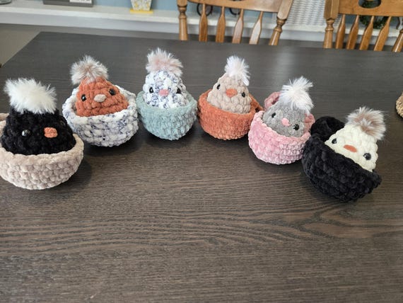 Crochet Baby Chick in Egg