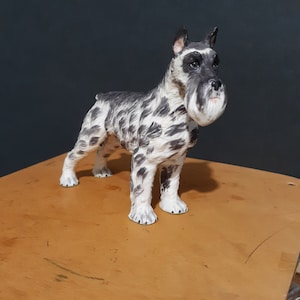 May include: A white and black porcelain figurine of a Schnauzer dog. The dog is standing on all four legs with its head turned to the side. The figurine is detailed with black markings on the dog's fur.
