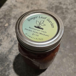 Restaurant Style Garden Salsa (Medium Spice)