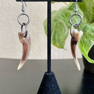 Real Badger Claw Drop Earrings