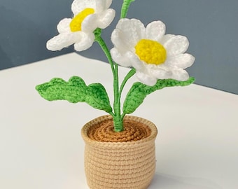 Crochet Daisy Flower Pot - Handmade Floral Decor