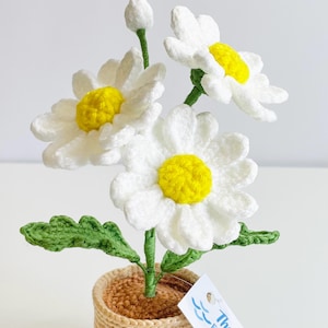 Gehäkelter Gänseblümchen Blumentopf - Handgemachtes Amigurumi Dekor, Kawaii Floral, Schreibtisch Dekor