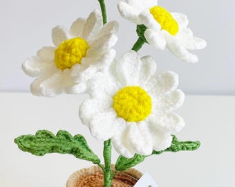 Crochet Daisy Flower Pot - Handmade Amigurumi Decor, Kawaii Floral, Desk Decor