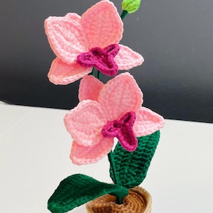 かぎ針編みの蘭鉢 – 色褪せない手作りの花！