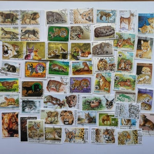 Grandes felinos en sellos postales - USADOS y sin papel - 50 a 200 ejemplares diferentes - coleccionismo, manualidades, collage, decoupage, scrapbooking