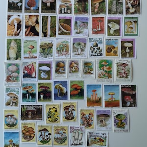 Hongos en sellos postales - USADOS y sin papel - 50 a 300 ejemplares diferentes - Para coleccionar, hacer manualidades, collages, decoupage, scrapbooking