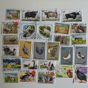Animales de granja en sellos postales - USADOS y sin papel - 25 a 200 diferentes - Para coleccionar, hacer manualidades, collages, decoupage, scrapbooking