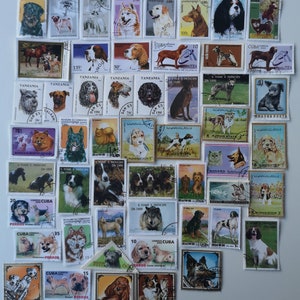 Sellos postales de perros/caninos - USADOS y sin papel - 50 a 500 diferentes - Para coleccionar, manualidades, collage, decoupage, scrapbooking
