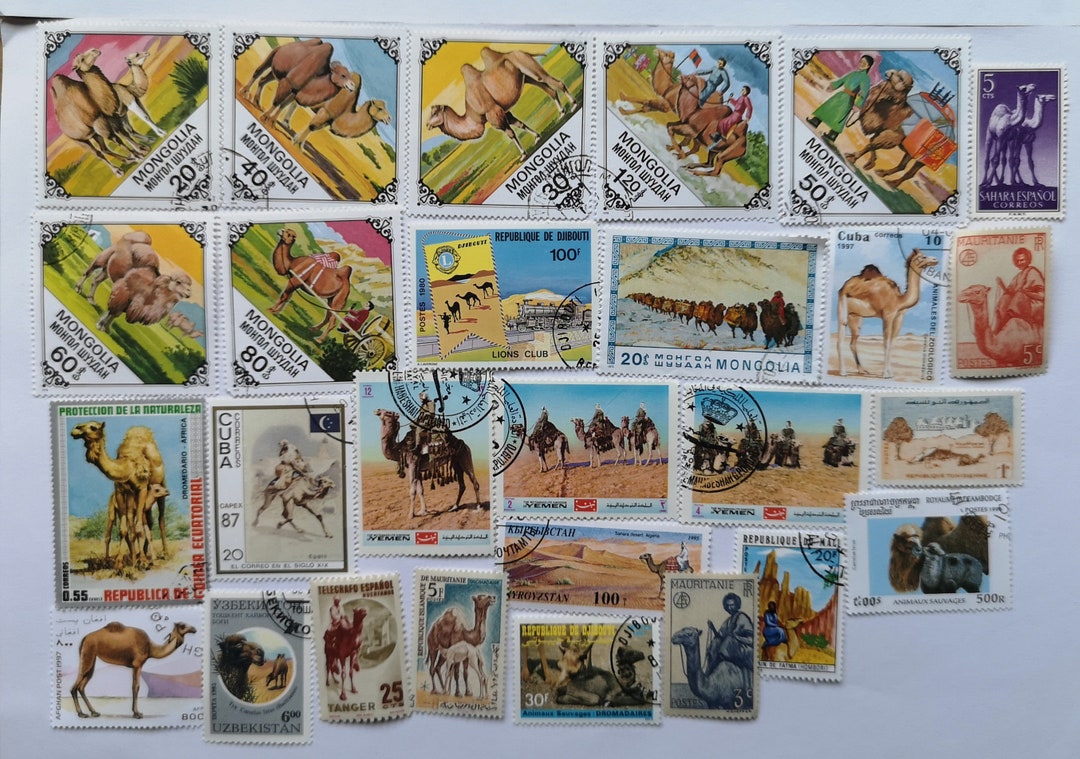 Camels on Postage Stamps -USED and off Paper - 25 and 50 Different ...