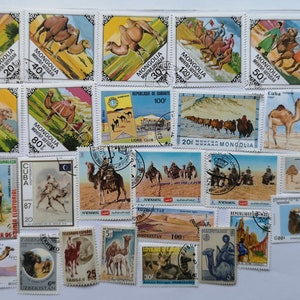 Camellos en Sellos Postales -USADOs y off paper - 25 y 50 diferentes - Para coleccionar, elaborar, collage, decoupage, scrapbooking