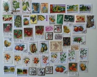 Timbres-poste représentant des fruits - 50 à 200 différents - OCCASION et hors papier - collection, création manuelle, collage, découpage, scrapbooking