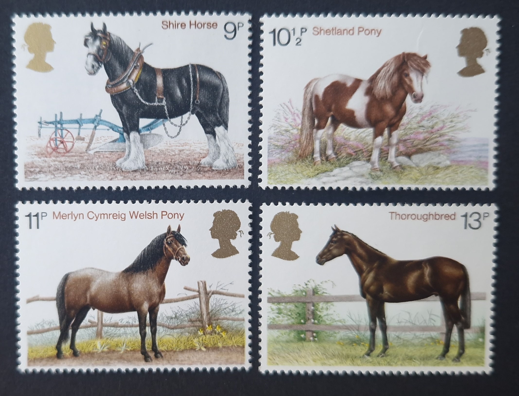 Great Britain 1978 Horses - Set of 4 Mint Stamps - Collecting