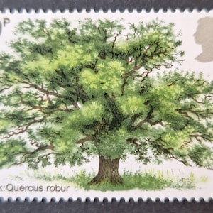 May include: A 9 pence British postage stamp featuring a green oak tree with the text "Oak: Quercus robur".