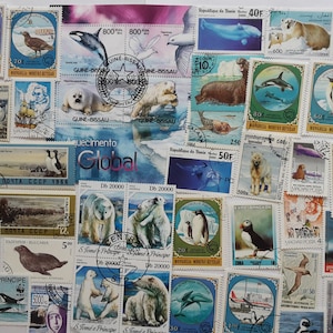 Sellos postales de animales polares - USADOS y sin papel - 50 y 100 diferentes - Para coleccionar, hacer manualidades, collage, decoupage y scrapbooking