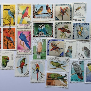 Loros en sellos postales - USADOS y sin papel - 25 y 50 diferentes - Para coleccionar, elaborar, collage, decoupage, scrapbooking