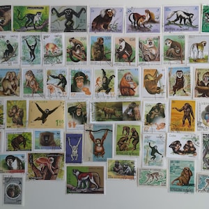 Monos y simios en sellos postales - USADOS y sin papel - 50 a 200 diferentes - Para coleccionar, elaborar, collage, decoupage, scrapbooking