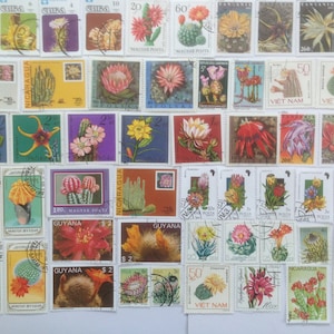 Sellos postales de cactus - USADOS y sin papel - 25 a 100 diferentes - coleccionismo, elaboración, collage, decoupage, scrapbooking
