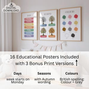 Educational Posters Set of 16, Homeschool Learning Prints and Charts, Playroom Wall Decor, Montessori Toddler Room Wall Art image 3