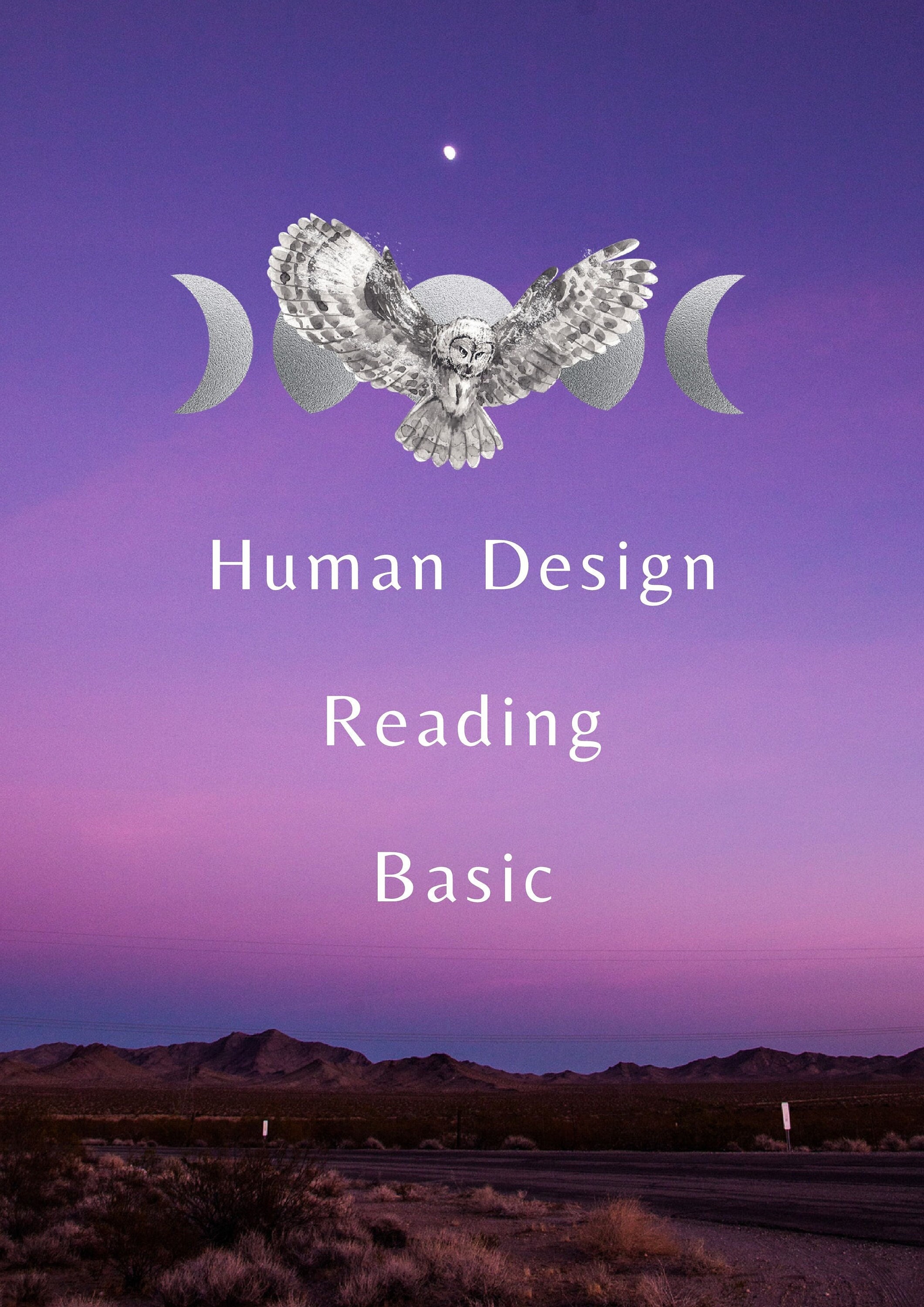 Human Design Reading Basic Human Design Chart Analysis Etsy