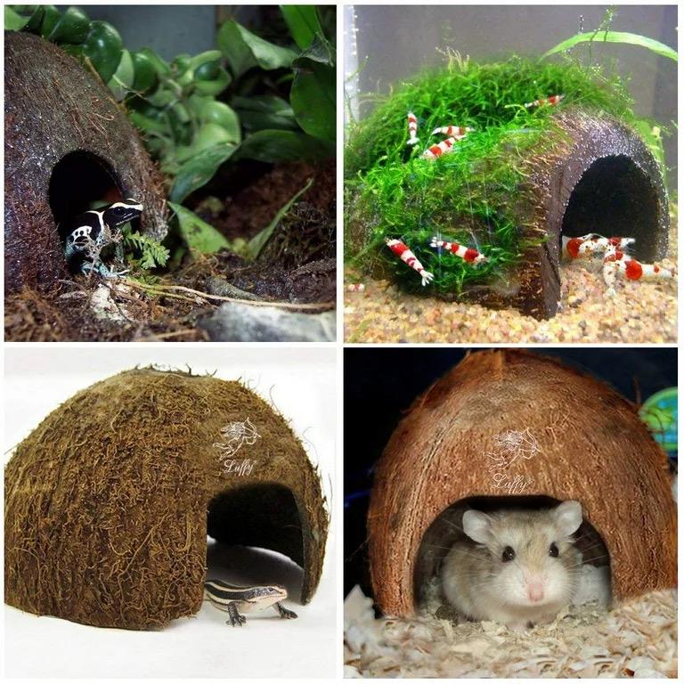 Coconut Cave Bundles— Freshwater Aquarium Decor Perfext for Betta, Nano ...