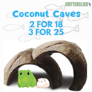 Coconut Cave Bundles— Freshwater Aquarium Decor Perfext for Betta, Nano, Plecos & More!