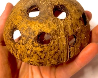 Coconut Cave Aquarium Decor: Shrimp & Small Fish Hideaway