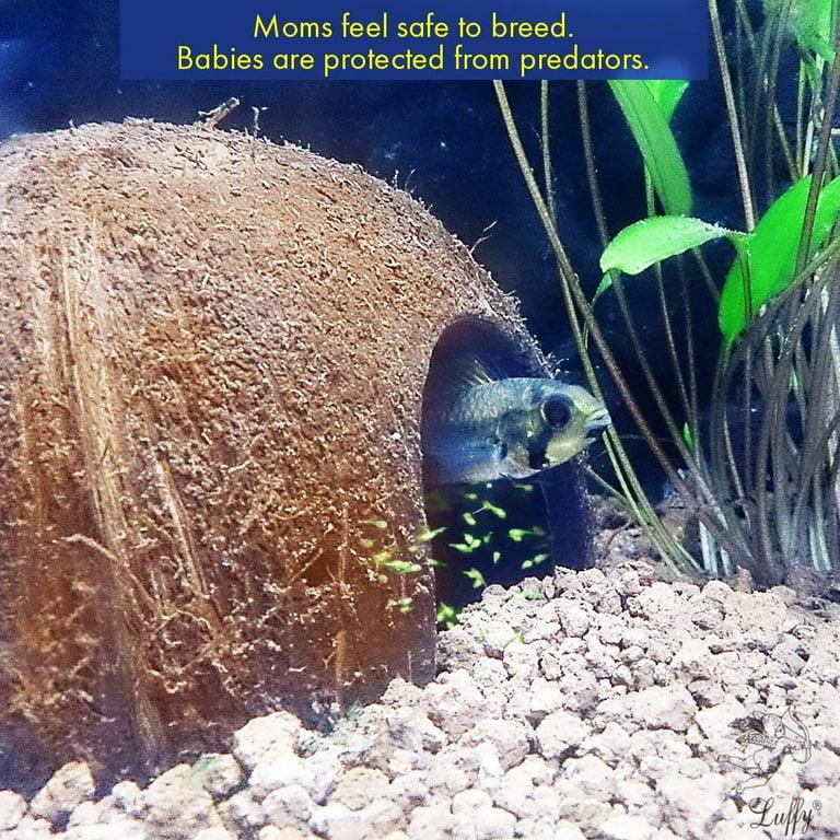 Coconut Cave Bundles— Freshwater Aquarium Decor Perfext for Betta, Nano ...