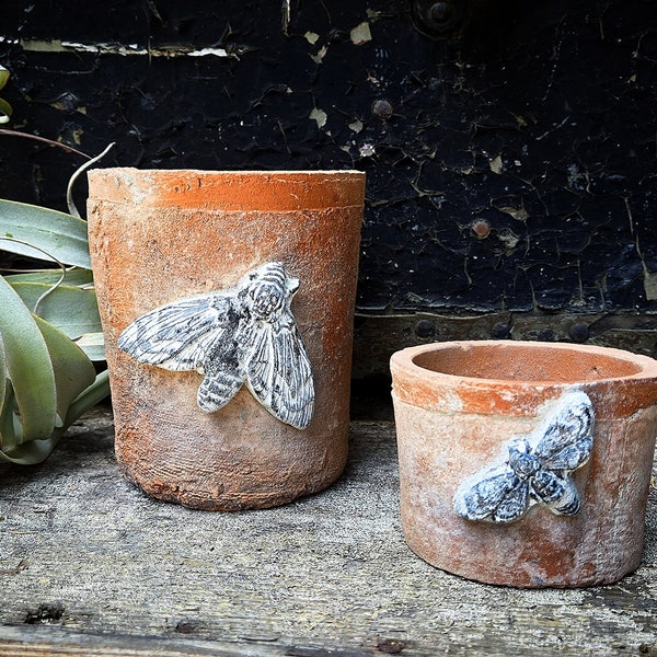Like a Moth to a Terracotta Pot/ Rustic Terracotta Planter Pot with Handpainted Mothra