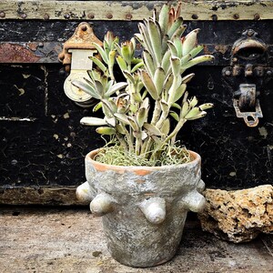 Aged Terracotta and Cement Planter Pot